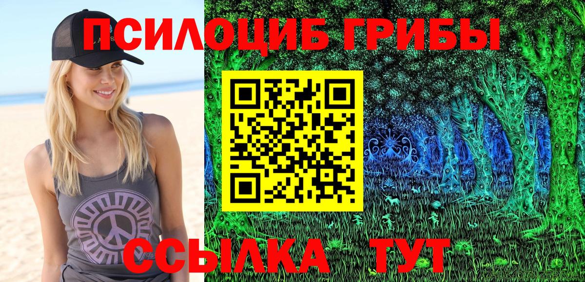 Галлюциногенные грибы Cubensis Орск